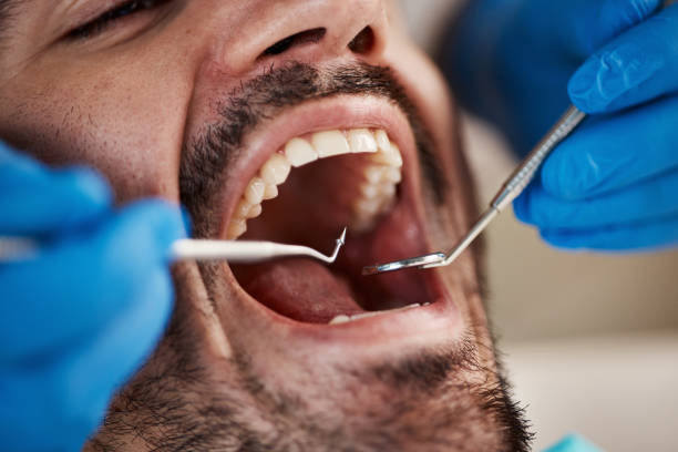 Best Urgent Dental Care for Toothache in Erda, UT